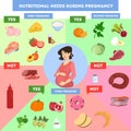 Nutrition infographics for pregnant woman. Healthy diet