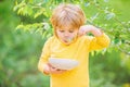 Nutrition for kids. Little toddler boy eat porridge outdoors. Having great appetite. Organic nutrition. Healthy