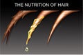 Nutrition and strengthening the hair