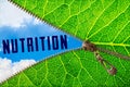 Nutrition word under zipper leaf