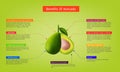 Nutritional benefits of Avocado Infographic about nutrients in Avocado Fruit and agriculture vector illustration nutrition and hea