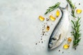 Nutritional benefits of fish oil supplements and fresh fish on a subtle light backdrop Royalty Free Stock Photo