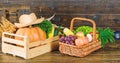 The nutritional choice. rich autumn crop. seasonal vitamin. organic and natural food. halloween. shopping in supermarket