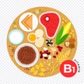 The nutritional components vitamin B1 on flat vector illustration. Products with high content vitamin B1.