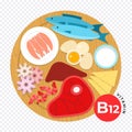 The nutritional components vitamin B12 flat vector illustrations. Food on wooden plate.