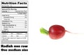 Nutritional facts of Radish Royalty Free Stock Photo