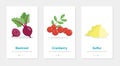 Nutritional food supplements vector onboarding. Isolated vertical banners with vegetables and berry icons Royalty Free Stock Photo