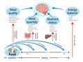 Nutritional Intake Energy Balance Diagram medical