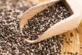 Nutritious chia seeds