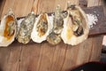 Nutritious gourmet food seafood oysters and oysters