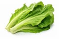 Nutritious Lettuce leaves cabbage. Generate Ai Royalty Free Stock Photo