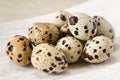 Nutritious quail eggs, natural source of vitamins