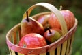 Fruit basket with apples and pears Royalty Free Stock Photo