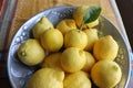 Pewter bowl filled with bright yellow, homegrown Sicilian lemons.