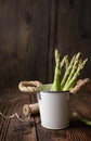 Nutritious vegetable high in antioxidants, a bunch of fresh green asparagus with copy space