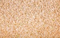 Close-up of Brown Rice Royalty Free Stock Photo