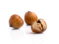 Nuts Royalty Free Stock Photo