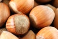 Nuts Royalty Free Stock Photo