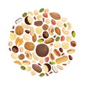 Nuts background. Various nuts in circle form. Peanut, hazelnut and pistachio, cashew and pecan, walnut. Brazil nut and