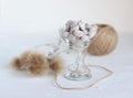 Nuts balls in stylish, transparent glass bowl with brown rope , on the white surface. Close up taken. Luxury tasty nuts Royalty Free Stock Photo