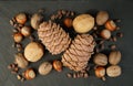 Nuts in a basket. beautiful still life close-up on a dark background. Royalty Free Stock Photo