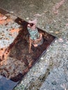 Nuts and bolds on iron pylon. Industrial concept