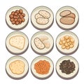 Nuts and Breads: A Culinary Medley - Vector Illustration Set