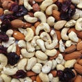 Nuts: cashews, almonds, hazelnuts and dried cranberries Royalty Free Stock Photo