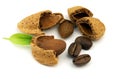 Nuts and coffee Royalty Free Stock Photo