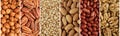 Nuts collage, long banner Ã¢â¬â hazelnuts, pecan nuts, cedar nuts, almonds, peanuts, walnuts
