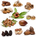 Nuts collection.