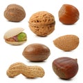 Nuts collection