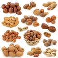 Nuts collection Royalty Free Stock Photo