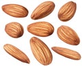 Nuts collection. Raw almond isolated on white background with clipping path. Royalty Free Stock Photo