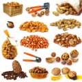 Nuts collection on white Royalty Free Stock Photo
