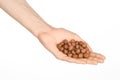 Nuts and cooking theme: man's hand holding a peeled hazelnuts isolated on a white background in studio