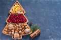 Nuts, cranberries and dried fruit in Christmas tree-shaped bowl on dark background Royalty Free Stock Photo