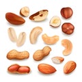 Nuts Delicious Natural Bio Nutrition Set Vector