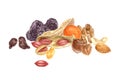 Nuts and dried fruits watercolor border Royalty Free Stock Photo