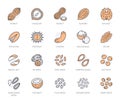 Nuts flat line icons set. Peanut, almond, chestnut, macadamia, cashew, pistachio, pine seeds, nutmeg vector Royalty Free Stock Photo