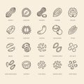 Nuts flat line icons set. Peanut, almond, chestnut, macadamia, cashew, pistachio, pine seeds vector illustrations Royalty Free Stock Photo