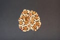 Nuts in the form of the brain Royalty Free Stock Photo