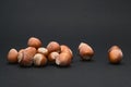 Nuts Royalty Free Stock Photo