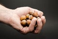 Nuts Royalty Free Stock Photo