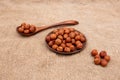 Nuts hazelnut in a wooden spoon and a brown earthenware plate on old burlap