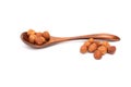 Nuts hazelnut in a wooden spoon on a white background