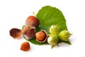 Nuts hazelnuts isolate on white