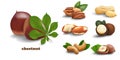 Nuts icon collection