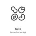 nuts icon vector from summer food and drink collection. Thin line nuts outline icon vector illustration. Linear symbol for use on