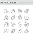 Nuts icons line outline vector illustration set. Shapes and cross-sections